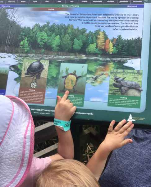 preschoolers pointing to a poster about turtles